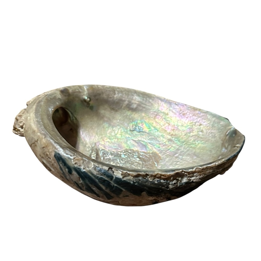 Abalone Sea Shell Beach Nautical Bowl Natural 70s 4.5”x5.5” - Picture 3 of 16